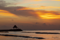 1_44-20250725-IMG_3536-Steven-J-Shriver