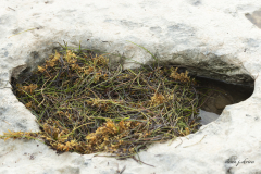 1_45-20250725-IMG_3572-Steven-J-Shriver